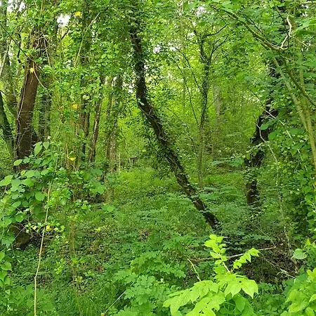 Te Huur In De * Saint-Frajou