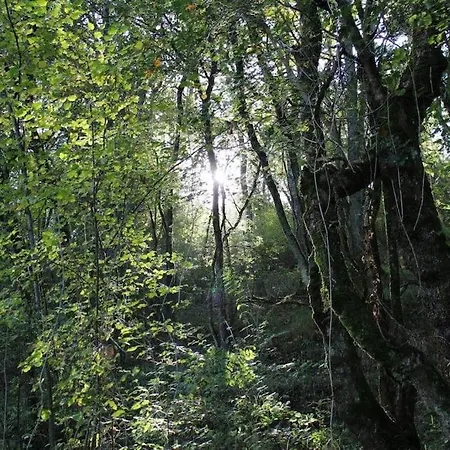 Βίλα Te Huur In De Saint-Frajou